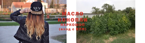 крисы Балахна