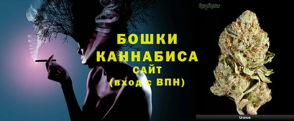 ГАЛЛЮЦИНОГЕННЫЕ ГРИБЫ Баксан