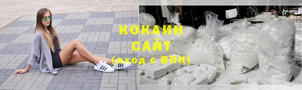дмт Инта