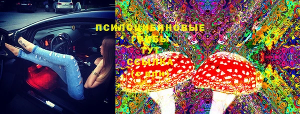 крисы Балахна