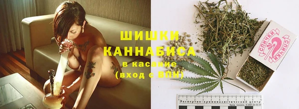 ГАЛЛЮЦИНОГЕННЫЕ ГРИБЫ Баксан